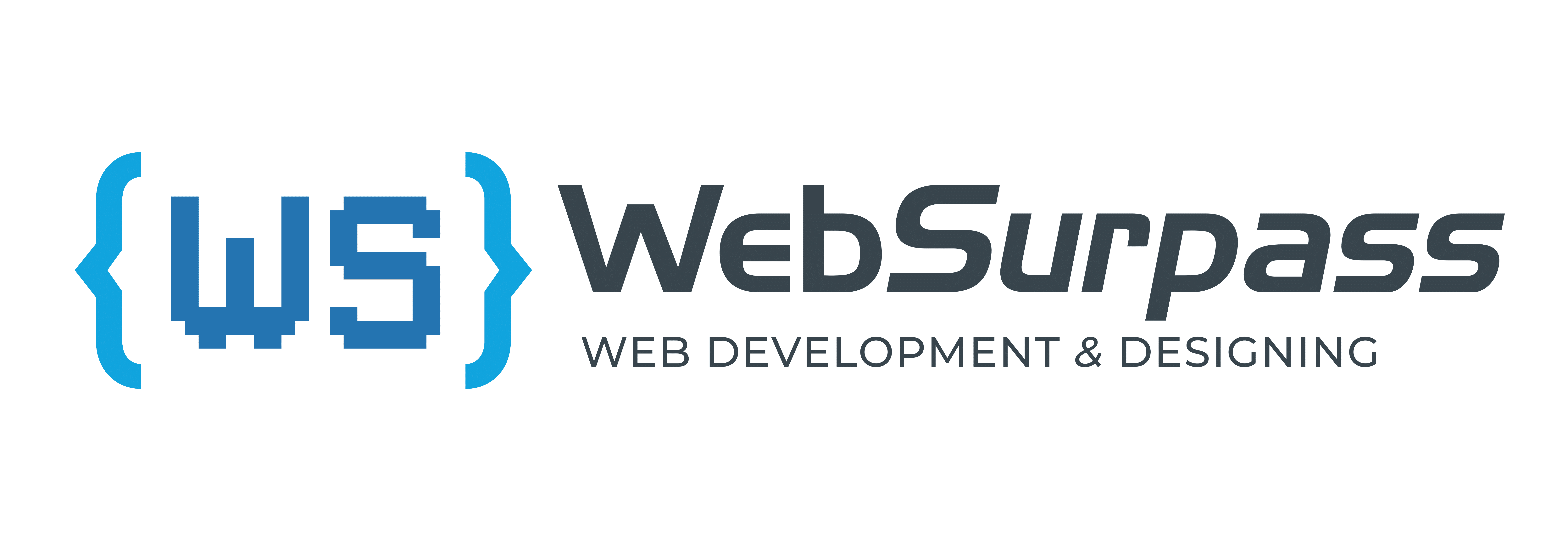 WebSurpass IT Solutions | Custom Software Development & IT Consulting